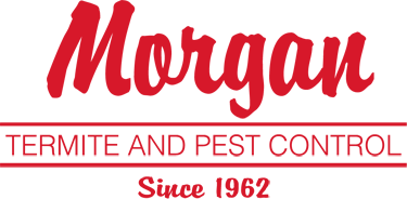 Morgan Termite and Pest Control
